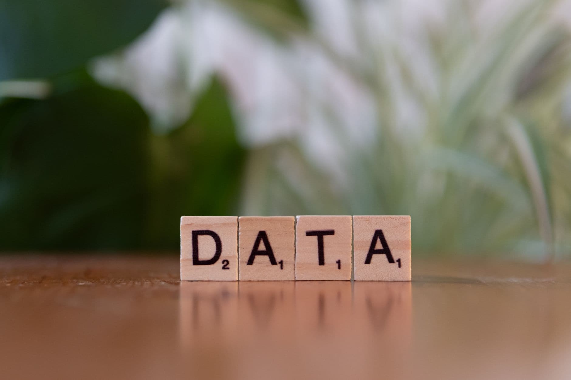 TRAINING SQL BASIC: Fondasi Kuat untuk Analisis dan Pengelolaan Data