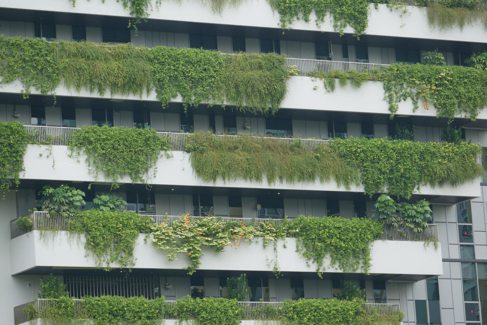 Training Green Building dan Sertifikasi Profesional